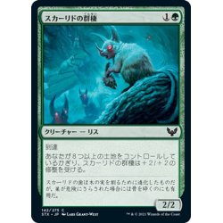 画像1: 【JPN】スカーリドの群棲/Scurrid Colony[MTG_STX_142C]