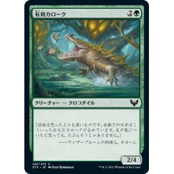 画像1: 【JPN】有刺カローク/Spined Karok[MTG_STX_143C]