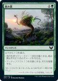 【JPN】絡み罠/Tangletrap[MTG_STX_145C]