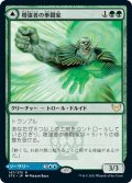 【JPN】増強者の拳闘家/Augmenter Pugilist/残響方程式/Echoing Equation[MTG_STX_147R]