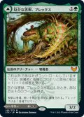 【JPN】厄介な害獣、ブレックス/Blex, Vexing Pest/ブレックスの捜索/Search for Blex[MTG_STX_148M]