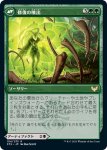 画像2: 【JPN】死に至る大釜/Pestilent Cauldron/修復の噴出/Restorative Burst[MTG_STX_154R] (2)