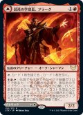 【JPN】混沌の学部長、プラーグ/Plargg, Dean of Chaos/秩序の学部長、オーガスタ/Augusta, Dean of Order[MTG_STX_155R]