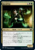 【JPN】血の研究者/Blood Researcher[MTG_STX_166C]