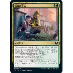 画像1: 【JPN】活力の注入/Infuse with Vitality[MTG_STX_194C]