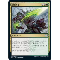 画像1: 【JPN】定命の槍/Mortality Spear[MTG_STX_207U]