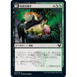 画像1: 【JPN】害獣召喚学/Pest Summoning[MTG_STX_211C]