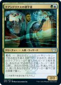 【JPN】クアンドリクスの初学者/Quandrix Apprentice[MTG_STX_216U]