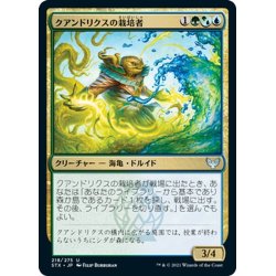 画像1: 【JPN】クアンドリクスの栽培者/Quandrix Cultivator[MTG_STX_218U]