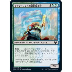 画像1: 【JPN】クアンドリクスの誓約魔道士/Quandrix Pledgemage[MTG_STX_219C]