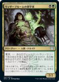 【JPN】ウィザーブルームの初学者/Witherbloom Apprentice[MTG_STX_247U]