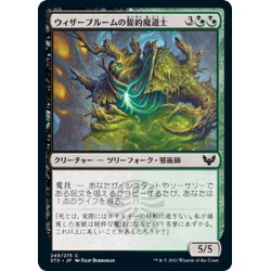 画像1: 【JPN】ウィザーブルームの誓約魔道士/Witherbloom Pledgemage[MTG_STX_249C]