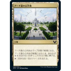 画像1: 【JPN】アーチ道の公共地/Archway Commons[MTG_STX_263C]