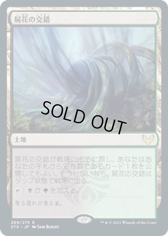 画像1: 【JPN】屍花の交錯/Necroblossom Snarl[MTG_STX_269R] (1)