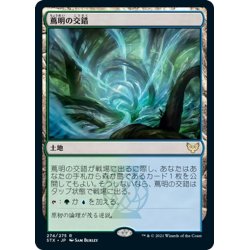 画像1: 【JPN】蔦明の交錯/Vineglimmer Snarl[MTG_STX_274R]