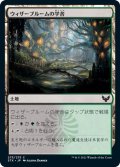 【JPN】ウィザーブルームの学舎/Witherbloom Campus[MTG_STX_275C]