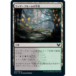 画像1: 【JPN】ウィザーブルームの学舎/Witherbloom Campus[MTG_STX_275C]