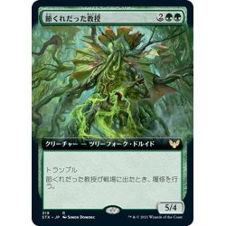 画像1: 【JPN】節くれだった教授/Gnarled Professor[MTG_STX_319R]