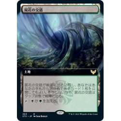 画像1: 【JPN】屍花の交錯/Necroblossom Snarl[MTG_STX_363R]