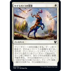 画像1: 【JPN】ケイラメトラの恩恵/Karametra's Blessing[MTG_THB_026C]