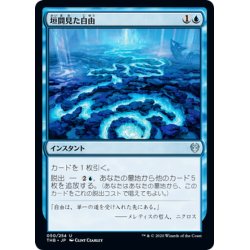 画像1: 【JPN】垣間見た自由/Glimpse of Freedom[MTG_THB_050U]