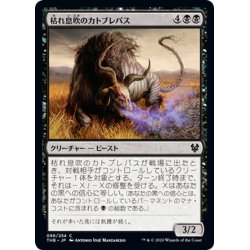 画像1: 【JPN】枯れ息吹のカトブレパス/Blight-Breath Catoblepas[MTG_THB_086C]