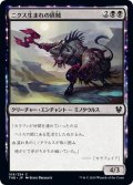 【JPN】ニクス生まれの匪賊/Nyxborn Marauder[MTG_THB_109C]