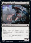 【JPN】死体あさりのハーピー/Scavenging Harpy[MTG_THB_114C]