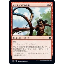 画像1: 【JPN】マンティコアの様相/Aspect of Manticore[MTG_THB_127C]