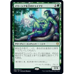 画像1: 【JPN】イリーシア木立のドライアド/Dryad of the Ilysian Grove[MTG_THB_169R]