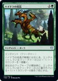 【JPN】ハイドラの成長/Hydra's Growth[MTG_THB_172U]