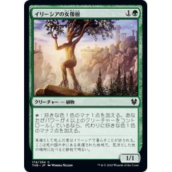 画像1: 【JPN】イリーシアの女像樹/Ilysian Caryatid[MTG_THB_174C]