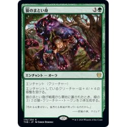 画像1: 【JPN】★Foil★狼のまとい身/Mantle of the Wolf[MTG_THB_178R]