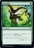 【JPN】神秘の撤回/Mystic Repeal[MTG_THB_180U]