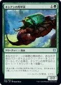 【JPN】ネシアンの角甲虫/Nessian Hornbeetle[MTG_THB_182U]