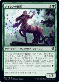 【JPN】ナイレアの猟匠 /Nylea's Huntmaster [MTG_THB_187C]