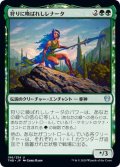 【JPN】狩りに喚ばれしレナータ/Renata, Called to the Hunt[MTG_THB_196U]