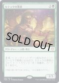 【JPN】セテッサの勇者/Setessan Champion[MTG_THB_198R]