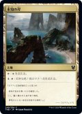 【JPN】未知の岸/Unknown Shores[MTG_THB_249C]