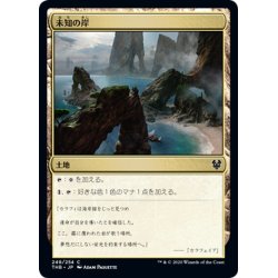 画像1: 【JPN】未知の岸/Unknown Shores[MTG_THB_249C]