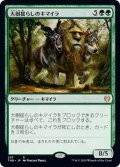 【JPN】大樹揺らしのキマイラ/Treeshaker Chimera[MTG_THB_297R]