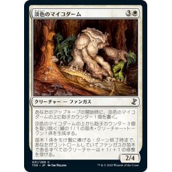 画像1: 【JPN】淡色のマイコダーム/Pallid Mycoderm[MTG_TSR_031C]