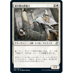 画像1: 【JPN】塩平原の世捨て/Saltfield Recluse[MTG_TSR_040U]