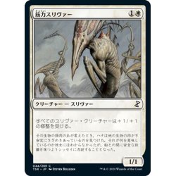 画像1: 【JPN】筋力スリヴァー/Sinew Sliver[MTG_TSR_044C]