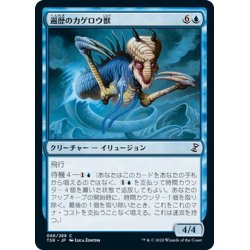 画像1: 【JPN】遍歴のカゲロウ獣/Errant Ephemeron[MTG_TSR_066C]