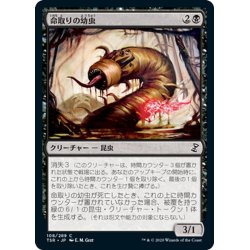 画像1: 【JPN】命取りの幼虫/Deadly Grub[MTG_TSR_108C]