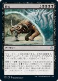 【JPN】結核/Phthisis[MTG_TSR_129U]