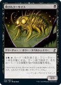 【JPN】★Foil★背びれクーサイト/Ridged Kusite[MTG_TSR_134C]