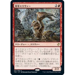 画像1: 【JPN】菅草スリヴァー/Sedge Sliver[MTG_TSR_187R]