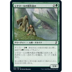 画像1: 【JPN】シタヌールの樹木読み/Citanul Woodreaders[MTG_TSR_199C]